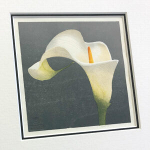 arum lily detail of mounted print