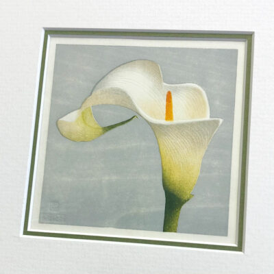 arum lily detail of mounted print